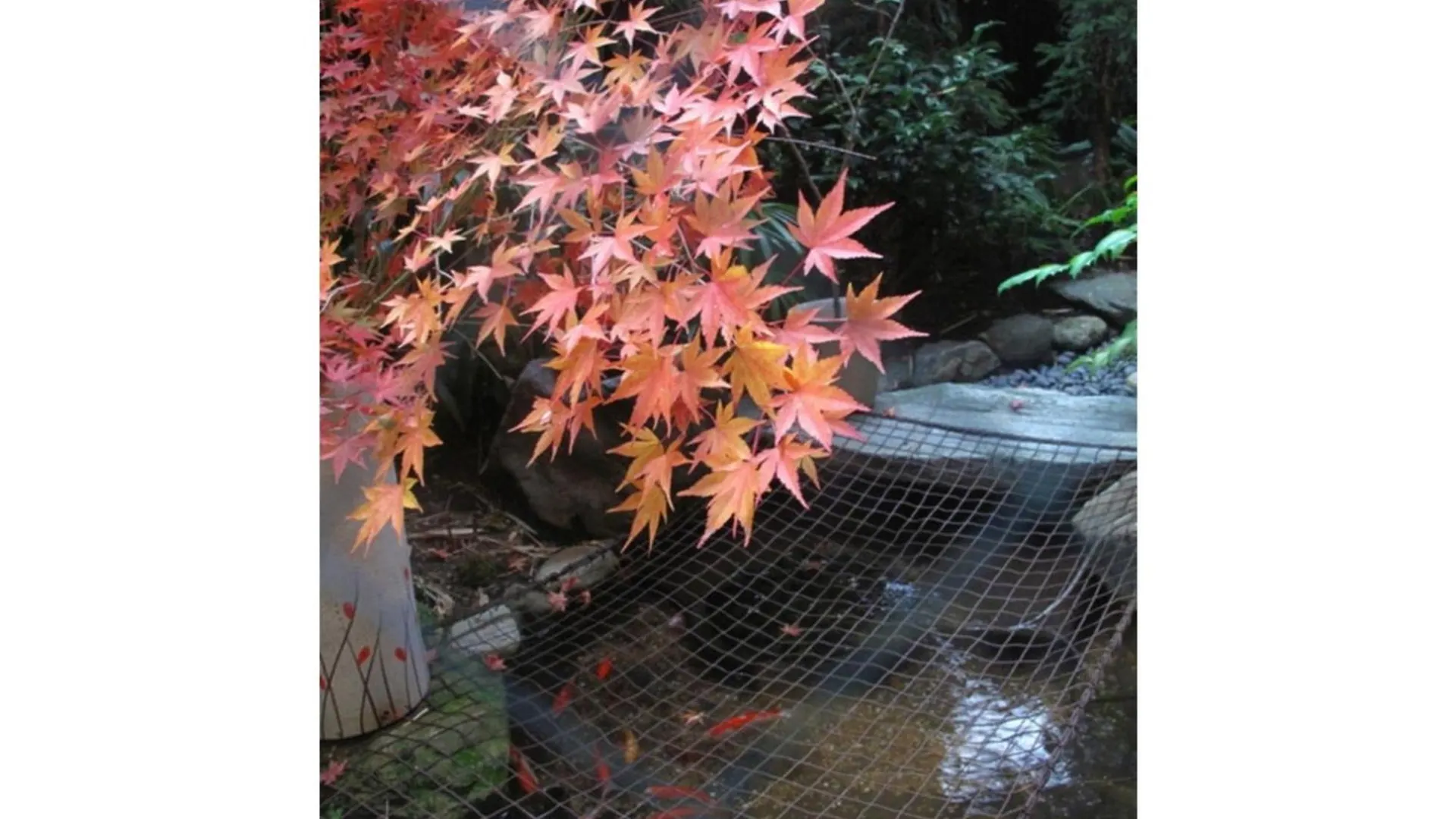 Matsubaya Ryokan - Vacation Stay 05187V 京都 0*,  日本